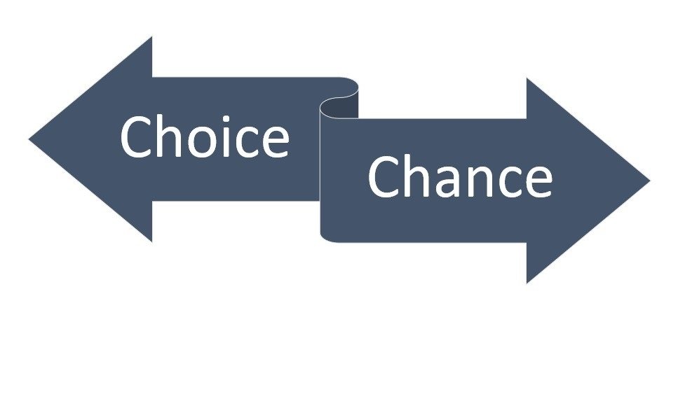 Finding Meaning in Simple Systems Lessons from Chance and Choice
