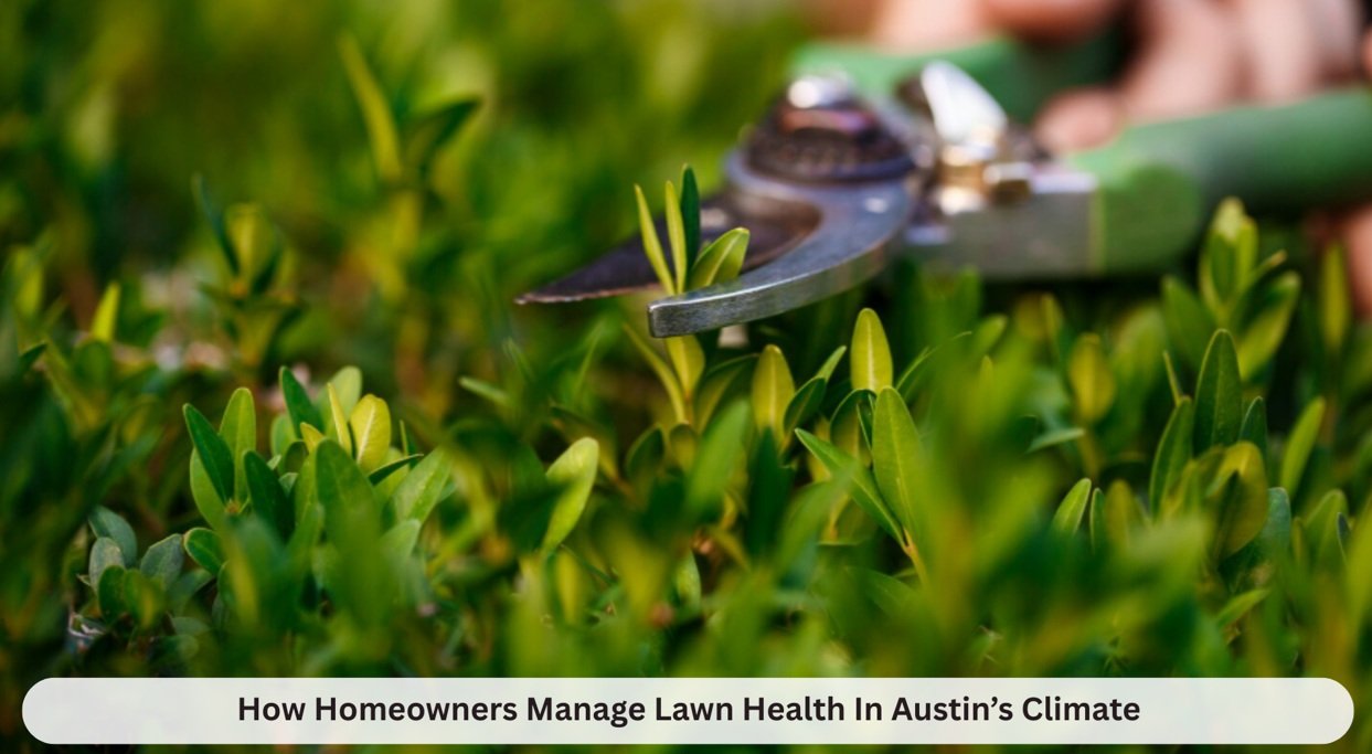 How Homeowners Manage Lawn Health In Austin’s Climate