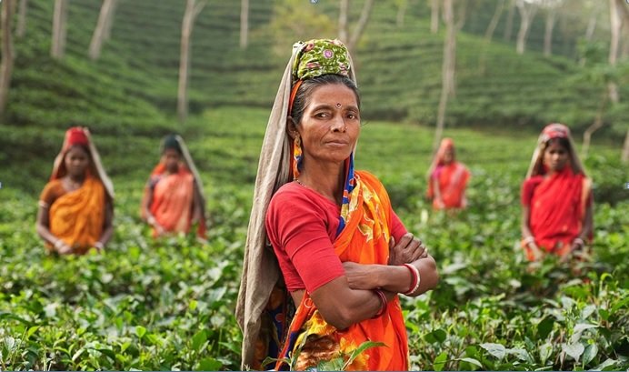 Tier-2 and Tier-3 Cities Driving the Next Wave of India’s Internet Growth