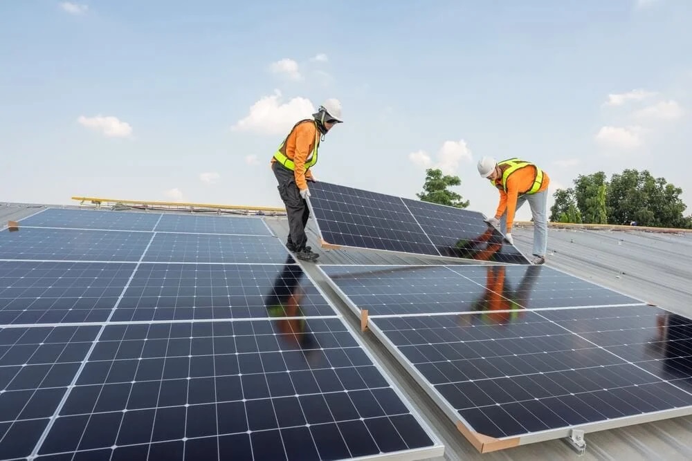 Choosing a Professional Solar Panel Installer to Build a Durable and Cost-Effective Renewable Energy System