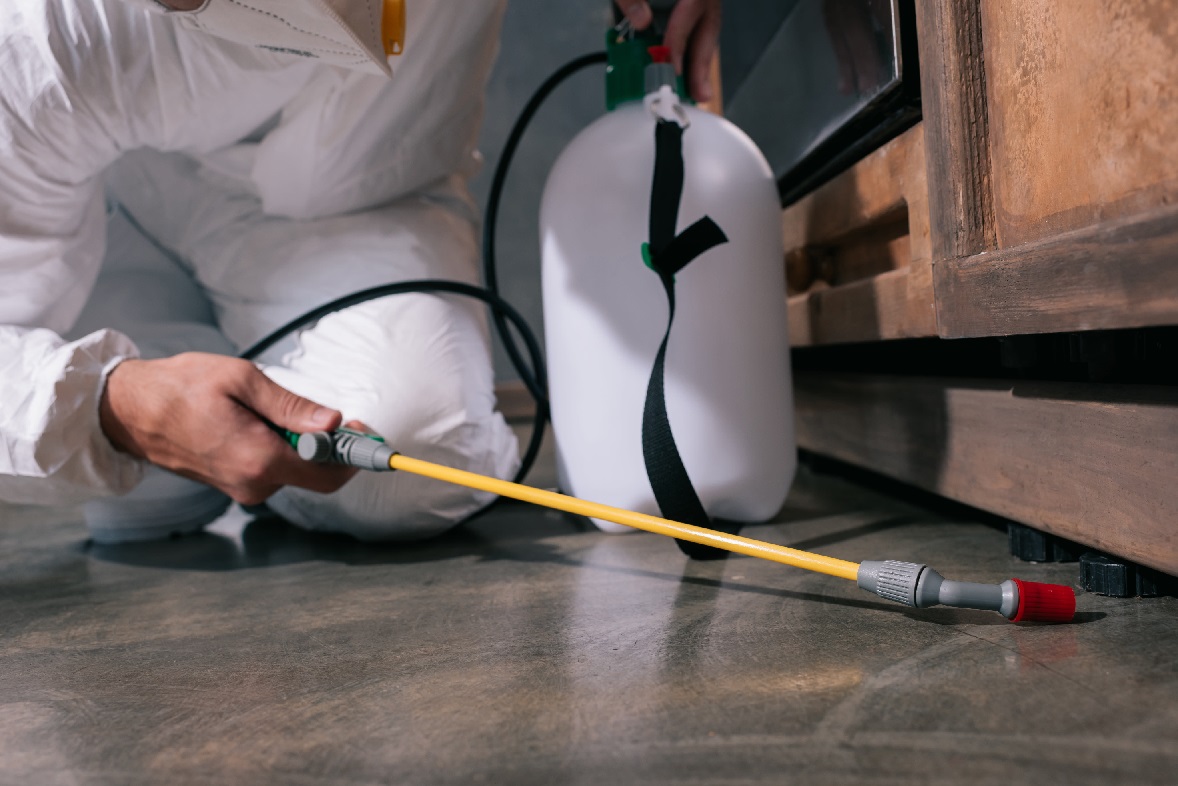 Understanding the Process and Benefits of Professional Termite Treatment