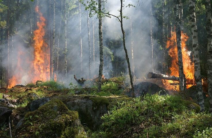 Comprehensive Approaches for Reducing Fire Risks and Protecting Natural Resources