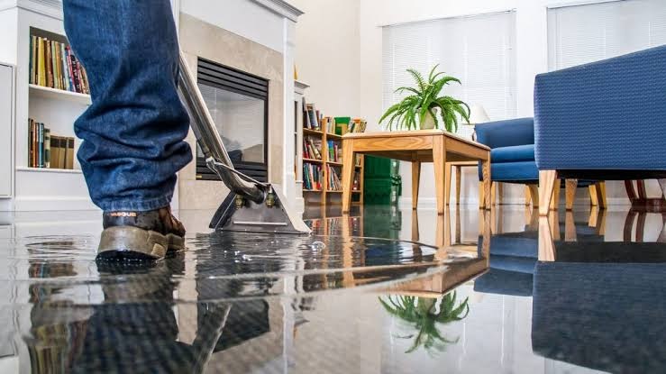 From Damage to Recovery: How Professional Water Restoration Brings Your Property Back to Life