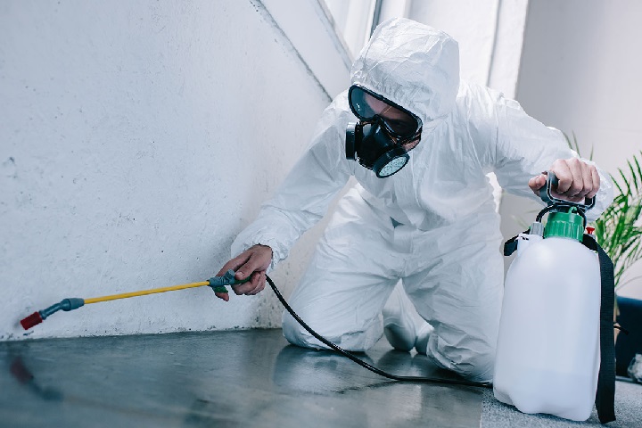 Everything You Need to Know About Professional Pest Solutions, Prevention Methods, and Long-Term Protection