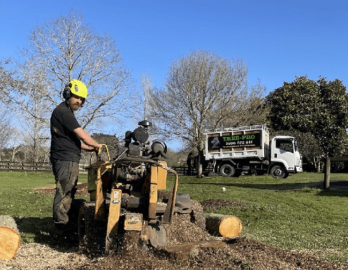 Restore Your Outdoor Space with Professional Stump Grinding Solutions