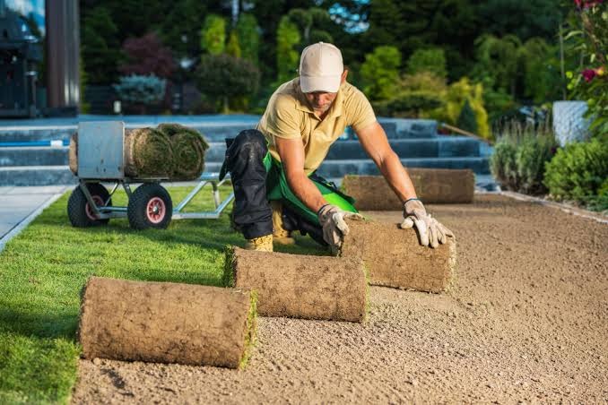 Creating Better Outdoor Spaces Through Professional Land Preparation and Management Solutions