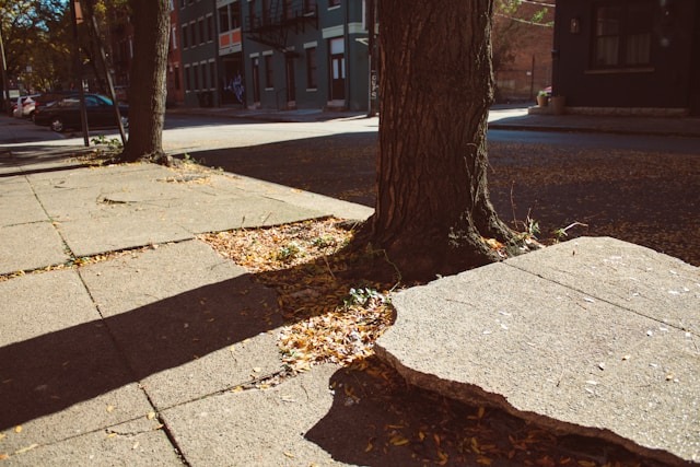 DOT Sidewalk Repair NYC: DOT Requirements for Violation Removal
